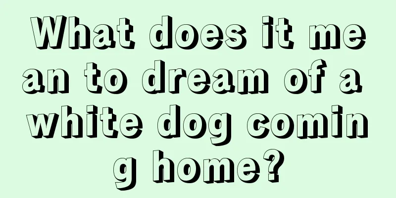 What does it mean to dream of a white dog coming home?