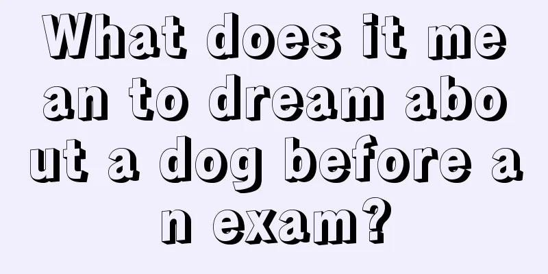 What does it mean to dream about a dog before an exam?