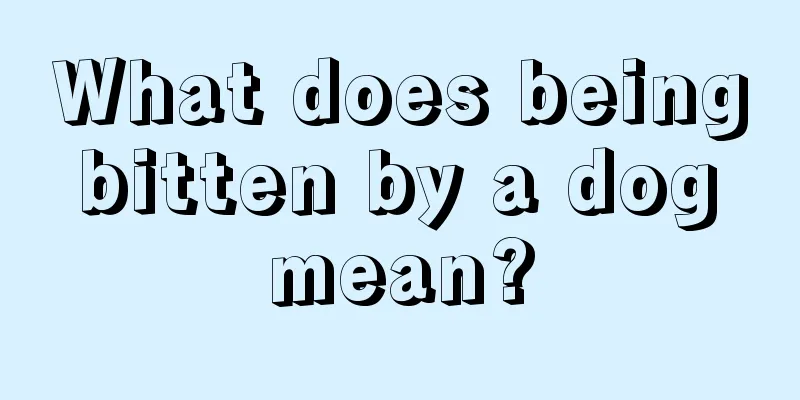 What does being bitten by a dog mean?