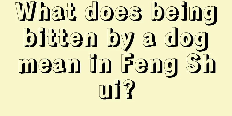 What does being bitten by a dog mean in Feng Shui?