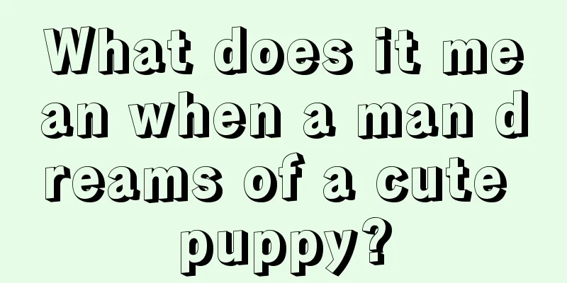 What does it mean when a man dreams of a cute puppy?