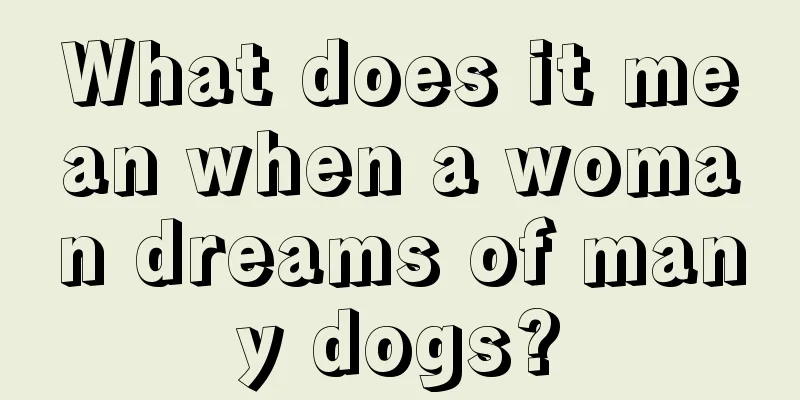 What does it mean when a woman dreams of many dogs?