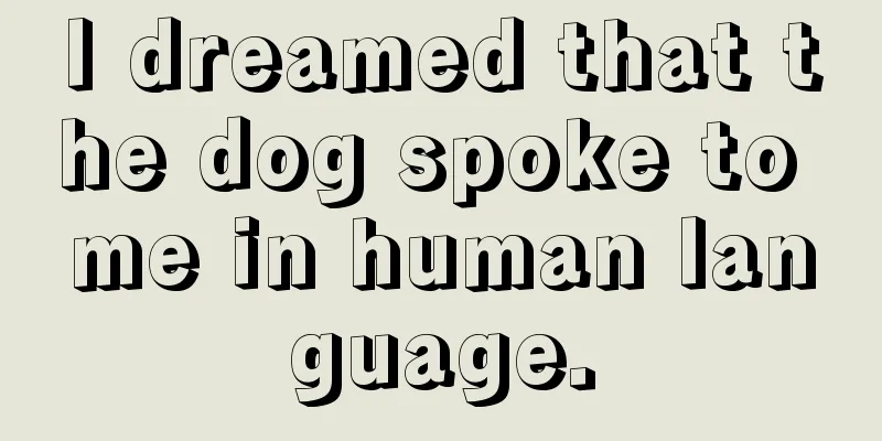 I dreamed that the dog spoke to me in human language.