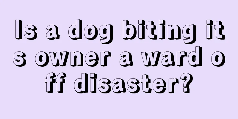 Is a dog biting its owner a ward off disaster?