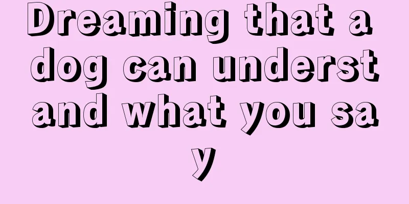 Dreaming that a dog can understand what you say