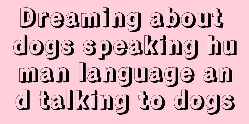 Dreaming about dogs speaking human language and talking to dogs