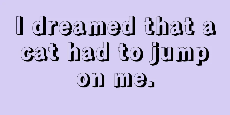 I dreamed that a cat had to jump on me.