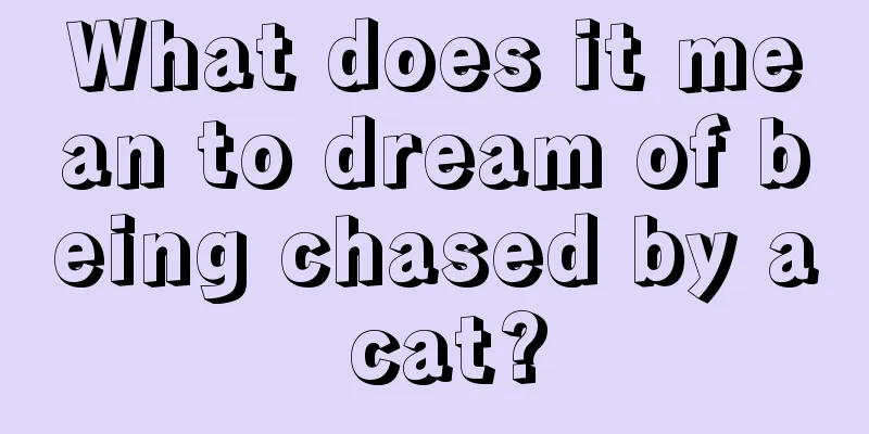 What does it mean to dream of being chased by a cat?