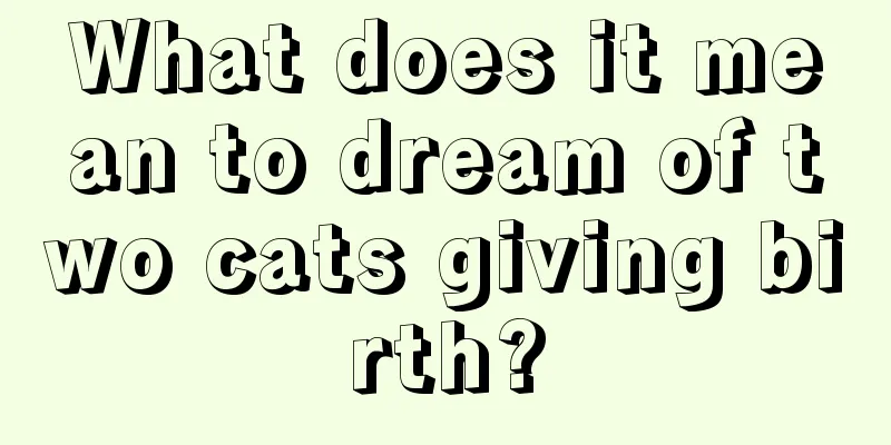 What does it mean to dream of two cats giving birth?