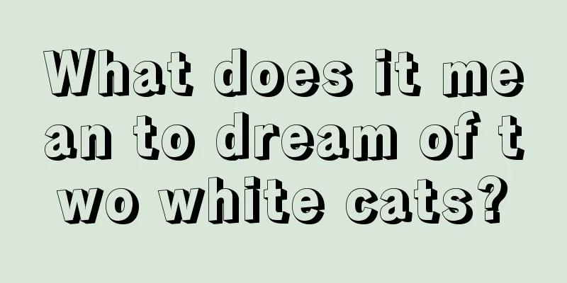 What does it mean to dream of two white cats?