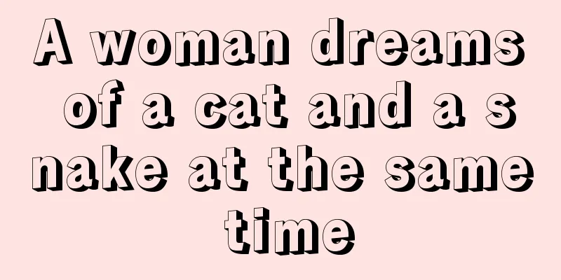 A woman dreams of a cat and a snake at the same time