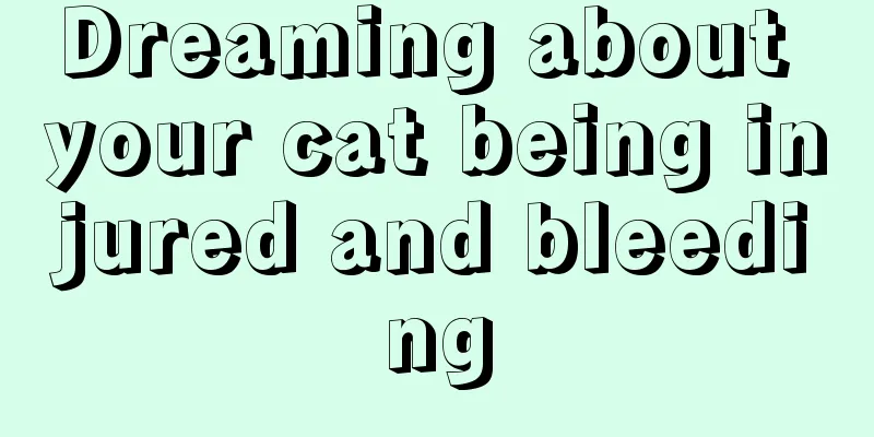 Dreaming about your cat being injured and bleeding