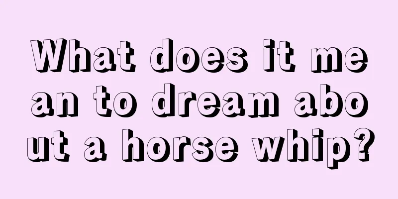 What does it mean to dream about a horse whip?