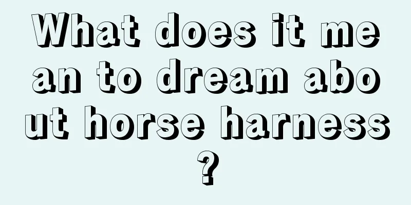 What does it mean to dream about horse harness?