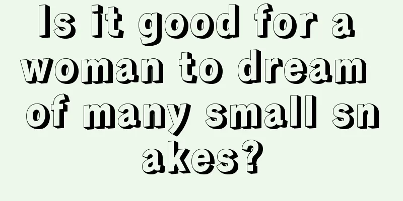 Is it good for a woman to dream of many small snakes?