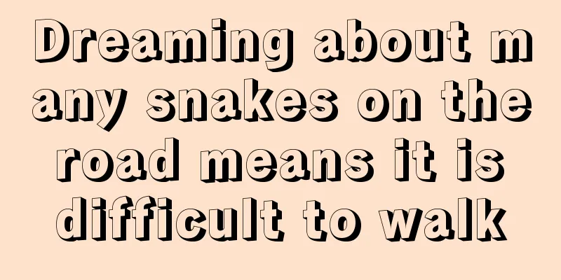 Dreaming about many snakes on the road means it is difficult to walk