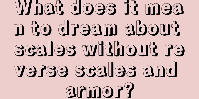 What does it mean to dream about scales without reverse scales and armor?