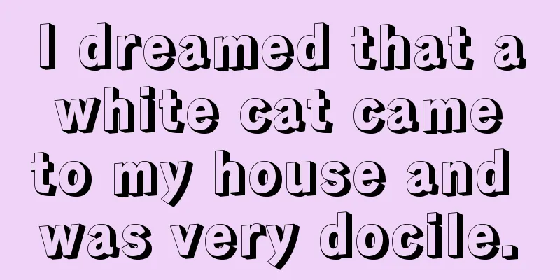 I dreamed that a white cat came to my house and was very docile.