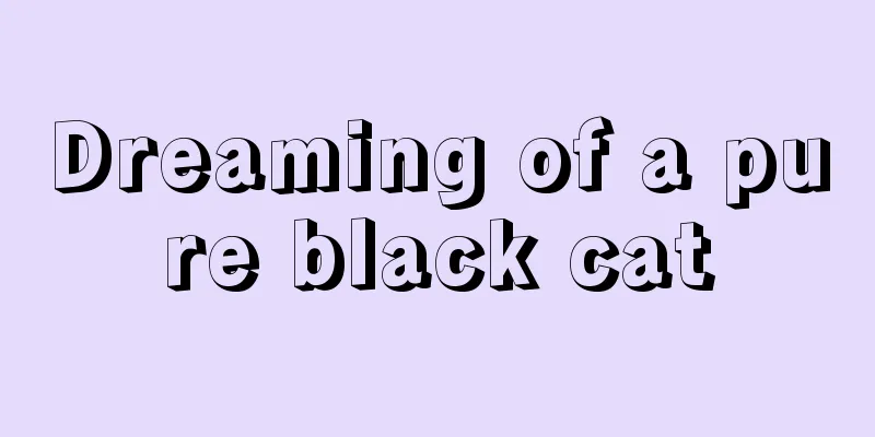 Dreaming of a pure black cat