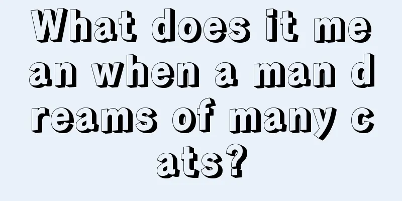 What does it mean when a man dreams of many cats?