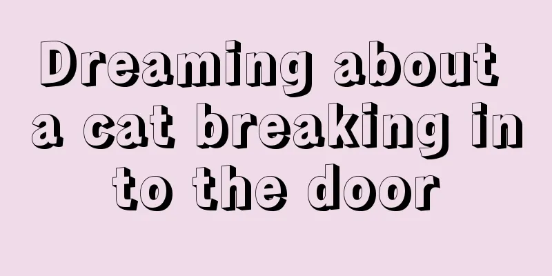 Dreaming about a cat breaking into the door