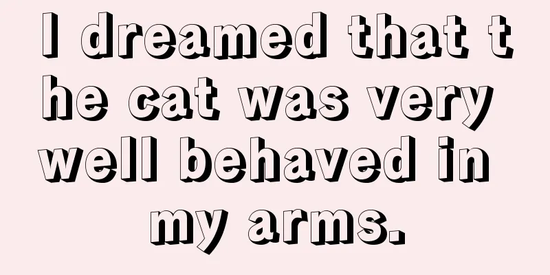 I dreamed that the cat was very well behaved in my arms.