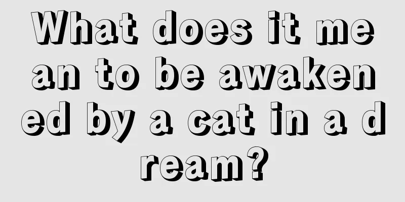 What does it mean to be awakened by a cat in a dream?