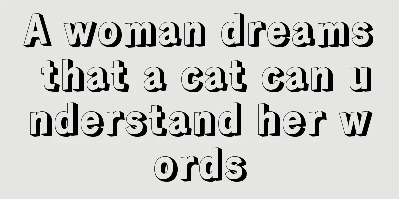 A woman dreams that a cat can understand her words