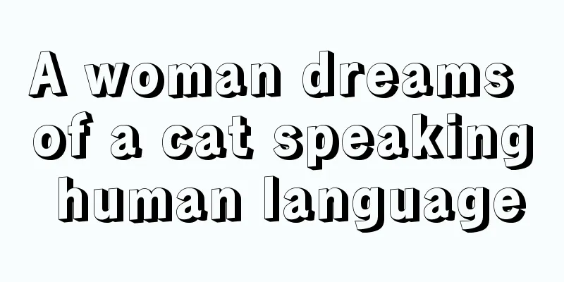 A woman dreams of a cat speaking human language