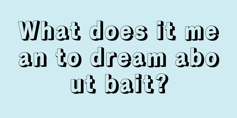 What does it mean to dream about bait?