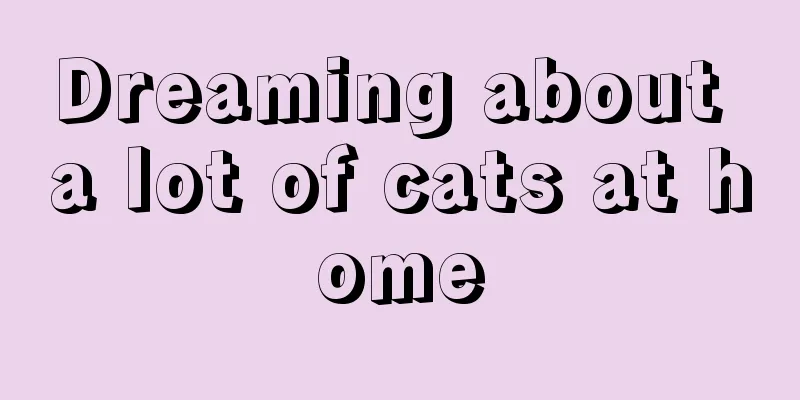 Dreaming about a lot of cats at home