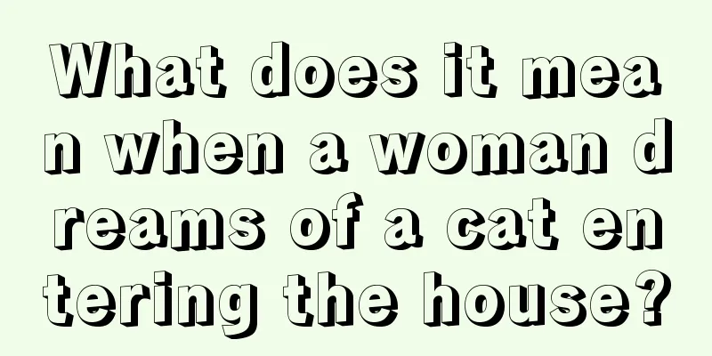 What does it mean when a woman dreams of a cat entering the house?