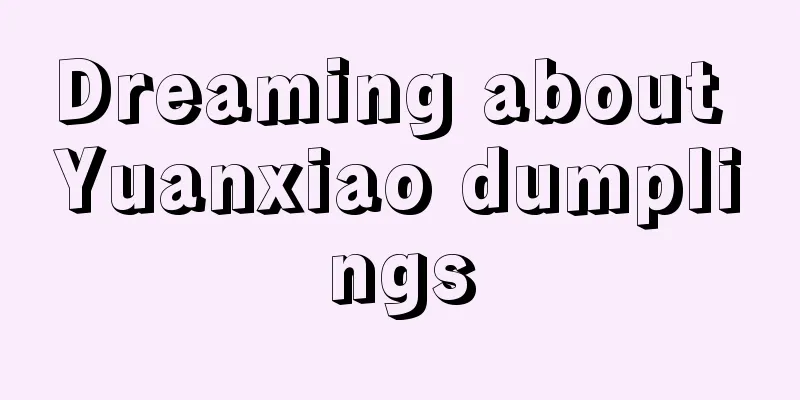 Dreaming about Yuanxiao dumplings