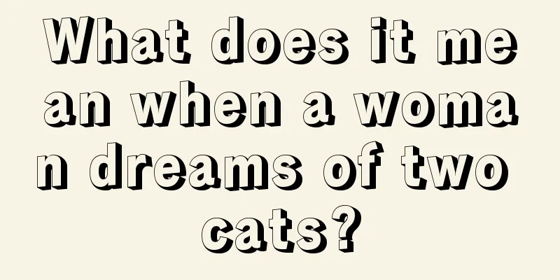 What does it mean when a woman dreams of two cats?