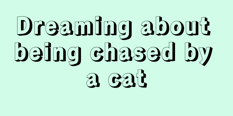 Dreaming about being chased by a cat