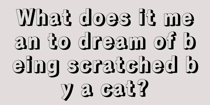 What does it mean to dream of being scratched by a cat?