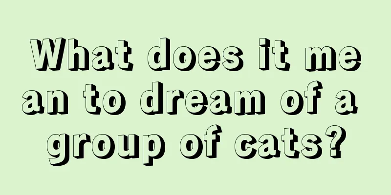 What does it mean to dream of a group of cats?