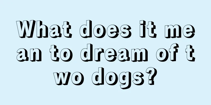 What does it mean to dream of two dogs?