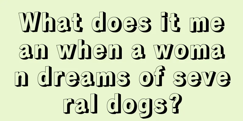 What does it mean when a woman dreams of several dogs?