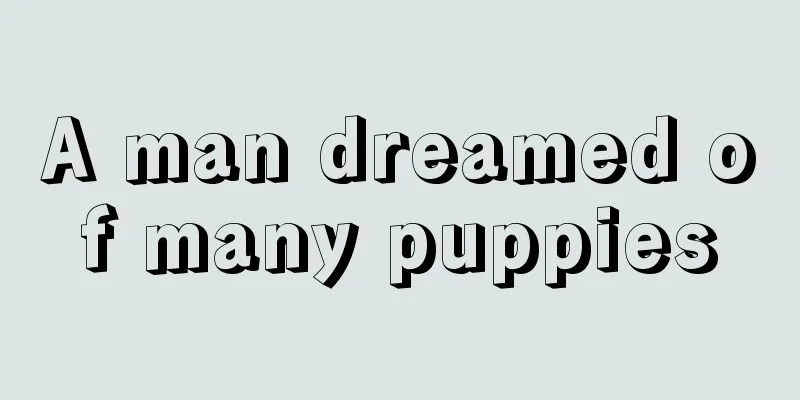 A man dreamed of many puppies