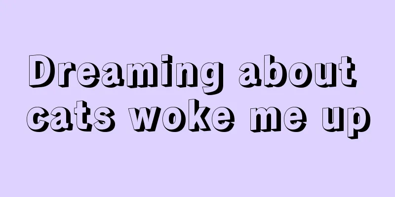 Dreaming about cats woke me up