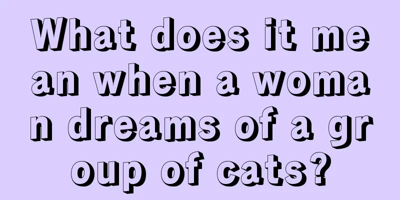 What does it mean when a woman dreams of a group of cats?