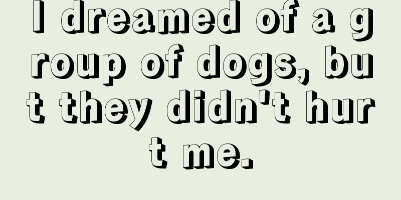 I dreamed of a group of dogs, but they didn't hurt me.