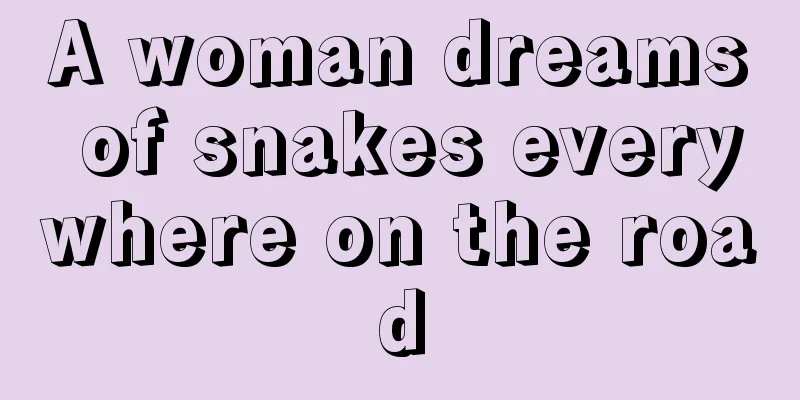 A woman dreams of snakes everywhere on the road