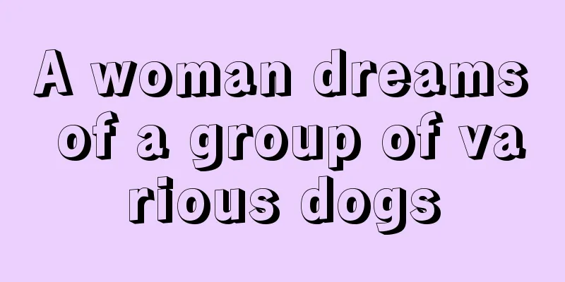 A woman dreams of a group of various dogs