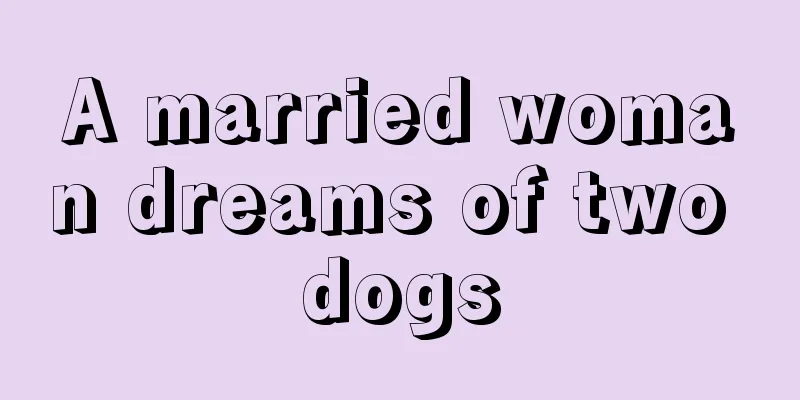 A married woman dreams of two dogs