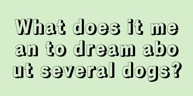 What does it mean to dream about several dogs?