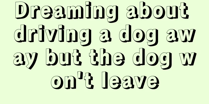 Dreaming about driving a dog away but the dog won't leave