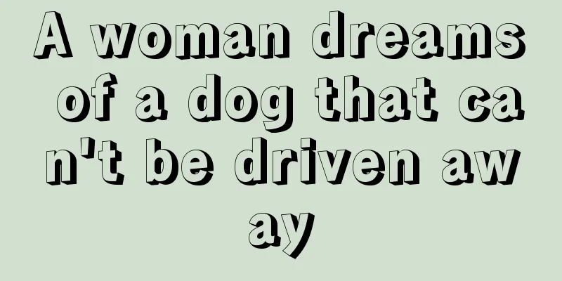 A woman dreams of a dog that can't be driven away