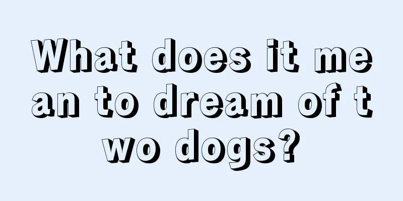 What does it mean to dream of two dogs?